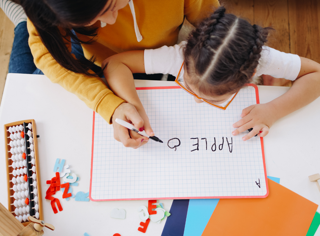 Asesoría Portafolio Docente Escuela Regular y de Lenguaje